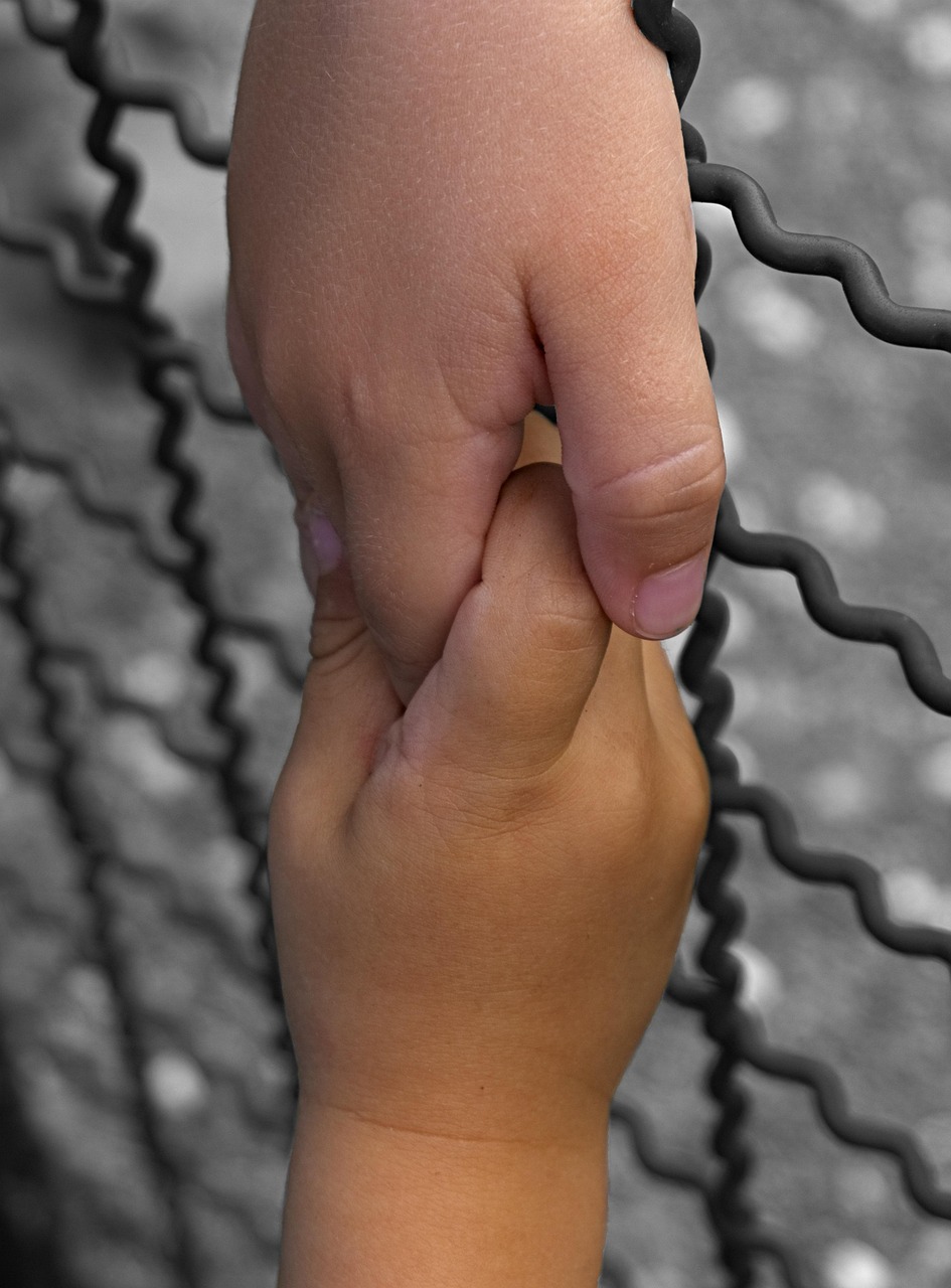 keep hands, shaking hands, child's hand, small child, encounter, overcoming, fence, border, finger, children, peace, friendship, handshake, overcoming, overcoming, overcoming, overcoming, overcoming, handshake